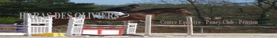HARAS DES OLIVIERS